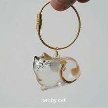 1pc Transparent Cat Hair Storage Box, Pendant, Cat Hair Capsule Keychain, Multi-Function Portable Pet Hair Storage Bag, Charm Capsule, Essential For Pet Owners - Multicolor - View 8