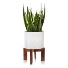 Wood Plant Stand, Mid Century Modern Planter, Rattan Flower Pot Stand, Low Short Plant Stands For Indoor - Boho Rustic Wooden Stool For Plant Pot Holder