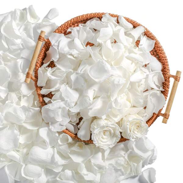 200 pétalas de rosas secas genuínas preservadas, pétalas liofilizadas para presente de Dia dos Namorados, decoração para festa de casamento, pétala de flor única, peça central de mesa, chá de panela, confete de flores