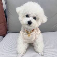 1 件宠物可爱卡通熊无袖背心，轻便透气，适合吉娃娃、贵宾犬、约克夏犬、缅因猫、布娃娃等小型犬，适合在空调房间使用，春夏季