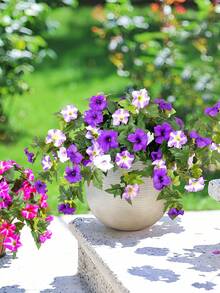 كرمة زهرة الصباح الاصطناعية، سلة الأزهار الملونة الزائفة، نمط عمود روماني أوروبي قديم على شكل إيبوميا مزيفة، أزهار مزيفة ديكورية للداخل والخارج، غرفة المعيشة والنوم والأعياد والحفلات وعيد الميلاد، ديكور أخضر دائم لا يحتاج إلى صيانة