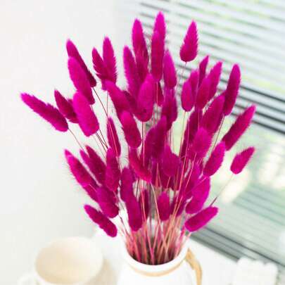 60/120Pcs Dried Natural Flowers Decoration, Natural Dried Rabbit Tail Grass Flowers, Dried Pampas Grass, Used For Home Decor, Wedding Decor, Party Decor, DIY Craft, Shooting Props, Theme Decoration, 17.7inch (Pink)