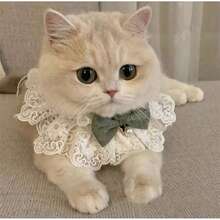 宠物领带、可爱蝴蝶结、猫咪公主风蕾丝领子、项链、围兜针织装饰