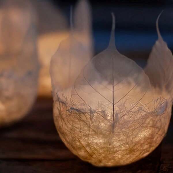 Paquete de 10 piezas de Marcos de esqueleto de hoja de goma blanca de 2.3-4.7 pulgadas, hojas de plantas artificiales para decoración de scrapbook, ideales para bodas, manualidades DIY, ramos de flores, regalos estacionales