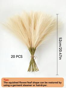 40 pezzi/30 pezzi / 15 pezzi/20 pezzi/10 pezzi/5 pezzi Pampa artificiali beige, 20,47 pollici (Centi) Alte. La cura ha fatto fiori di pampas artificiali in seta soffice e soffice dalle canne. Pianta artificiale in rilievo di canna, decorazione bohémien per matrimoni, decorazioni da giardino, decori per il giardino a forma di cerchio, decor a cerchio e arroccature, boccioli, addobbi per decorazioni, matrimoni e decorazioni per la vita, piante.