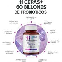 Probióticos 60 Billones y 11 Cepas e Inulina de Agave | Suplemento Alimenticio con Probióticos y Prebióticos a Base de Sábila, B. Lactis y L. Rhamnosus | Cont. 60 caps.