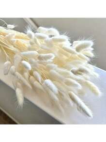 60/120 piezas de Rabo de Conejo Blanco de 17" - Paquetes de Hierba Lagoulus para Decoración Bohemia del Hogar, Cocina y Boda | Perfecto para Navidad, Pascua, Día de San Valentín, Acción de Gracias y Regalos de Graduación, Decoración de Otoño