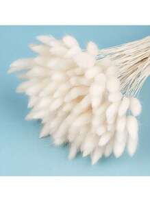 60/120 piezas de Rabo de Conejo Blanco de 17" - Paquetes de Hierba Lagoulus para Decoración Bohemia del Hogar, Cocina y Boda | Perfecto para Navidad, Pascua, Día de San Valentín, Acción de Gracias y Regalos de Graduación, Decoración de Otoño