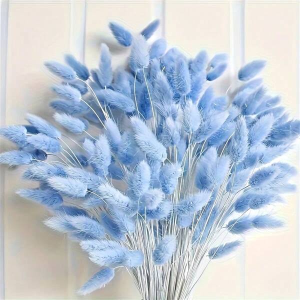 60/120 piezas Decoración de flores naturales secas, flores de hierba de cola de conejo natural secas, hierba pampas seca, utilizadas para decoración del hogar, decoración de bodas, decoración de fiestas, manualidades DIY