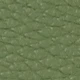 Verde Oscuro