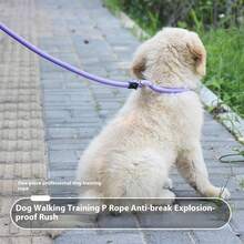Dog Leash For Large Medium Dogs Pet Leash Dog Lead Rope For Running Walking Training - Grey - View 5