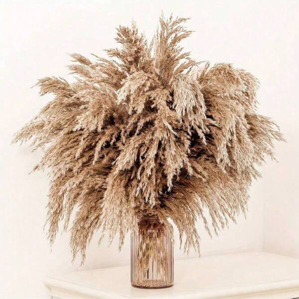 10/20 piezas de decoración de hierba pampas esponjosa de color marrón, flores de ratán artificial bohemio para decoración del hogar, fiestas, exteriores, bodas y compromisos, para todo el año, para colocar sobre la mesa, sin contenedor