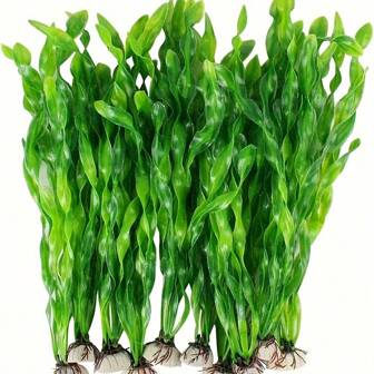 5/10 pièces Modèles de plantes sous-marines intéressantes, ajoutez une touche de vert à votre aquarium - Décoration d'aquarium premium, design de base stable, entretien facile, convient aux aquariums d'eau douce et d'eau de mer