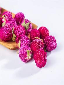 1瓶千日紫花头干燥花永生花可用于婚礼、家居、生日装饰、手工DIY贴花、绘画、创意制作、圣诞节、万圣节、情侣节日礼物