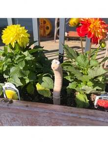 树脂青蛙雕像漂浮在荷叶上 - 独特的绿色青蛙，黑眼睛，白肚子，非常适合花园池塘、泳池装饰和季节性庆典装饰 | 动物雕塑 | 逼真的青蛙雕像，青蛙花园装饰