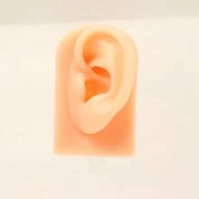 纹身硅胶模型纹身穿刺练习仿真人体部位展示穿孔饰品，硅胶耳朵模型，鼻子和嘴巴模型，左右柔软灵活模型假耳朵穿孔练习，硅胶身体部件