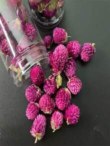 1瓶千日紫花头干燥花永生花可用于婚礼、家居、生日装饰、手工DIY贴花、绘画、创意制作、圣诞节、万圣节、情侣节日礼物