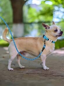 Personalizowana nylonowa obroża dla zwierząt, personalizowana obroża z identyfikatorem dla zwierząt, grawerowana nazwa zwierzaka/telefon, regulowana obroża dla psa, akcesorium dla psa na zewnątrz, odblaskowa świecąca w nocy obroża dla psa, odpowiednia dla średnich i małych psów, ozdobna, grawerowana, stylowa, modna, kolorowa, vintage, słodka, na zamówienie, słodkie, niestandardowe, niepowtarzalne, spersonalizowane, spersonalizowane dla zwierzaka na rocznice, urodziny, artykuły dla zwierząt, akcesoria na Halloween 2025