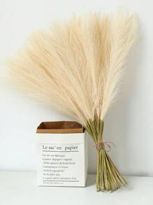 40 pezzi/30 pezzi / 15 pezzi/20 pezzi/10 pezzi/5 pezzi Pampa artificiali beige, 20,47 pollici (Centi) Alte. La cura ha fatto fiori di pampas artificiali in seta soffice e soffice dalle canne. Pianta artificiale in rilievo di canna, decorazione bohémien per matrimoni, decorazioni da giardino, decori per il giardino a forma di cerchio, decor a cerchio e arroccature, boccioli, addobbi per decorazioni, matrimoni e decorazioni per la vita, piante.