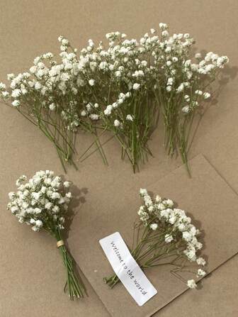 110pcs White Mini Dried Flowers, Great For DIY Decor, Greeting Cards, Weddings, Home And Office Decoration