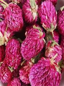 1瓶千日紫花头干燥花永生花可用于婚礼、家居、生日装饰、手工DIY贴花、绘画、创意制作、圣诞节、万圣节、情侣节日礼物