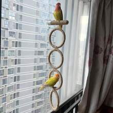 多功能麻绳鹦鹉栖木，可吸盘安装在玻璃上作为鹦鹉空中栖木，也可安装在笼子里作为鹦鹉秋千和 U 型栖木，多功能鹦鹉运动架和游乐场