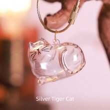 1pc Transparent Cat Hair Storage Box, Pendant, Cat Hair Capsule Keychain, Multi-Function Portable Pet Hair Storage Bag, Charm Capsule, Essential For Pet Owners - Multicolor - View 7