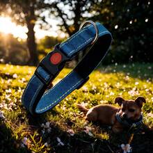 1 件装软垫反光狗项圈，带可调节安全扣，训练项圈，适合小型犬，M 码（35-50 厘米），蓝色
