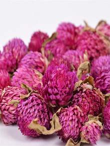 1瓶千日紫花头干燥花永生花可用于婚礼、家居、生日装饰、手工DIY贴花、绘画、创意制作、圣诞节、万圣节、情侣节日礼物