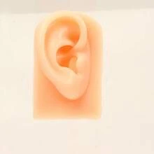 纹身硅胶模型纹身穿刺练习仿真人体部位展示穿孔饰品，硅胶耳朵模型，鼻子和嘴巴模型，左右柔软灵活模型假耳朵穿孔练习，硅胶身体部件