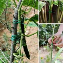 Gardening Ties, Wire, Plastic, Wire, Rose Climbing Plant Fixing Rope, Tie, Wire Support, Flower Tying Tool