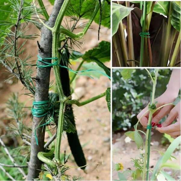 Gardening Ties, Wire, Plastic, Wire, Rose Climbing Plant Fixing Rope, Tie, Wire Support, Flower Tying Tool