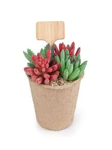 10入組/20入組標有記號筆的木質植物標籤,t型竹質植物標籤標籤,適用於種植盆栽草本花卉蔬菜的花園標記 - 植物標籤牌 - 查看 7