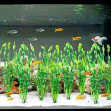 5/10 件有趣的水下植物模型，为您的水族馆增添一抹绿色 - 优质水族馆装饰，稳定的底座设计，易于维护，适用于淡水和海水水族馆