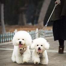 Metal Double Dog Leash Coupler, Chew-Resistant-Dual Pet Leash Extension Splitter 2 Dogs - 尺寸 S - 查看 5