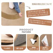 Lagua Carpet - Plain Brown (BR) - View 4