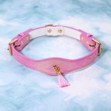 Collar de mascota con diseño de borla de moda