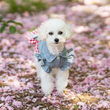 Robe pour chien, salopette décontracté respirante et confortable de style princesse mignonne, tenue légère pour le printemps/été pour chiens de petite/moyenne taille