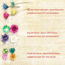 200pcs Mixed Colorful Small Dried Flowers Bulk/60PCS/120PCS Big Star Flowers For Resin Molds Project Casting Jewelry Candles Soap Making Nail Art Charms