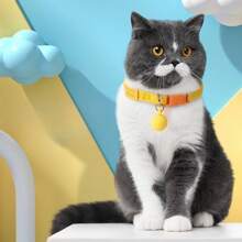 Dehnbares Haustierhalsband, einstellbares Katzenhalsband, dekoratives Hundehalsband für kleine Haustiere