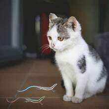 1pc Realistic Lizard Shaped Cat Toy, Durable Plastic Reptile Pet Toy For Interactive Play And Exercise For Cats 6 Months And Up, Battery-Free Indoor Cat Toy