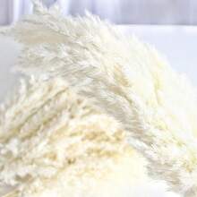 10/15 Pieces Of Artificial White Pampas Grass - Artificial Pampas In Vases That Do Not Fall Off - Versatile Featherless Decoration For Christmas, Thanksgiving, New Year, Valentine's Day, Mother's Day - Perfect For Weddings, Holiday Decorations - White - View 3