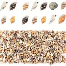 20克/500个混合天然小贝壳，适用于手工制作，多种颜色迷你贝壳，海螺，可用于创意项目和装饰展示，天然材料