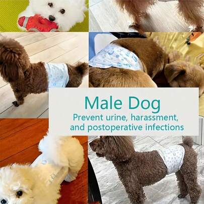 12pcs/Pack Leak-Proof Dog Diapers For Female Dogs, Super Absorbent Disposable (Diapers, Pads, Sanitary Napkins, Menstrual Pants), 10pcs/Pack For Male Dogs, Suitable Cleaning Products For Both Male And Female Dogs
