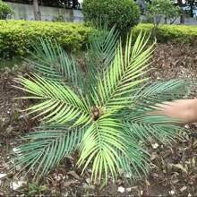 12pcs Artificial Palm Tree, Plastic Plants Greenery, Fake Tropical Shrub, Large Leaf, Suitable For Indoor/Outdoor Garden, DIY Basket Filler, Wedding Decor, Party Decoration, UV Resistant