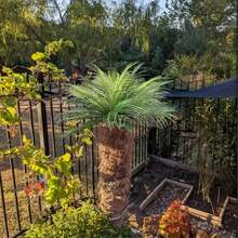 12pcs Artificial Palm Tree, Plastic Plants Greenery, Fake Tropical Shrub, Large Leaf, Suitable For Indoor/Outdoor Garden, DIY Basket Filler, Wedding Decor, Party Decoration, UV Resistant