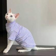 无毛猫三色四腿服装 - Sphinx 汗衫，Devonex 宠物猫服装，简约休闲长袖 - 紫色 - 查看 15