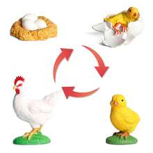 Animal Life Cycle Children Montessori Education Cockerels Ladybugs Moths Model Action Figures Set Lovely Cognitive Toys For, Christmas And