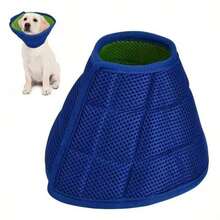 1 件舒适加厚宠物伊丽莎白圈防舔咬项圈