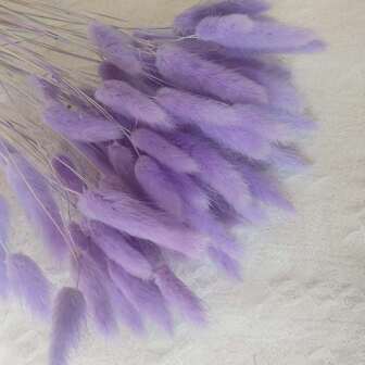 60/120pcs 17.7" Dried Bunny Tail Pampas Grass, For Bottle Vase Decor, Handmade DIY Projects, Home Decor, Thanksgiving, Christmas, Valentine's Day